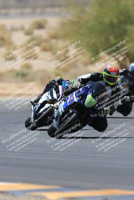 media/May-14-2023-SoCal Trackdays (Sun) [[024eb53b40]]/Turn 5 Tree of Life (1125am)/